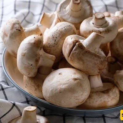 How to Store Mushrooms and Prevent Them from Turning Black Too Quickly