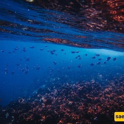 The Story of the World’s Deepest Oceans