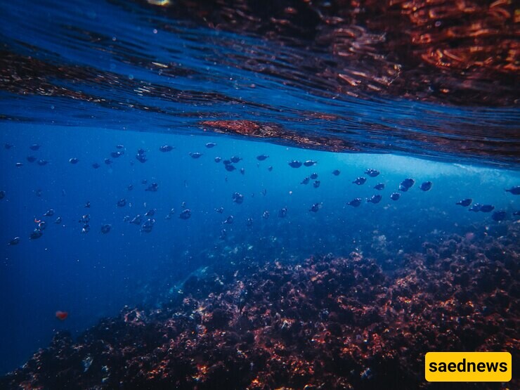 The Story of the World’s Deepest Oceans