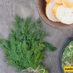 Healthy Dill Kuku Recipe Without Potatoes