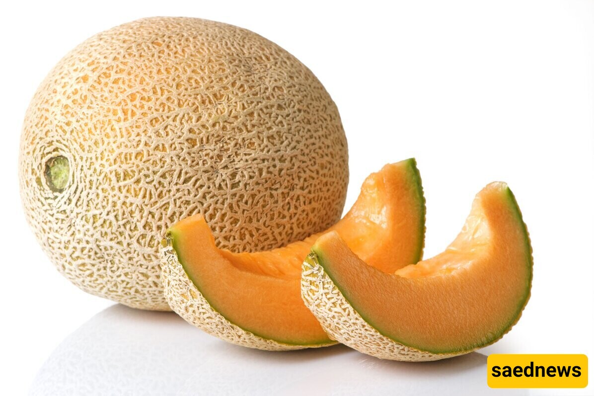 Cantaloupe 