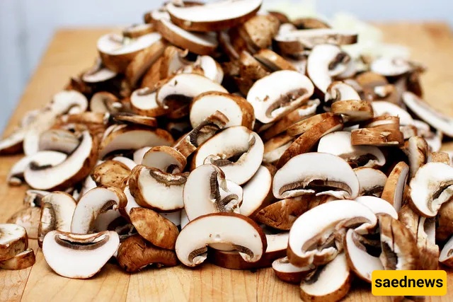 mushroom strudel recipe