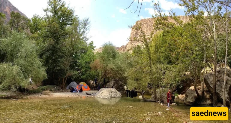 Shiraz Nature