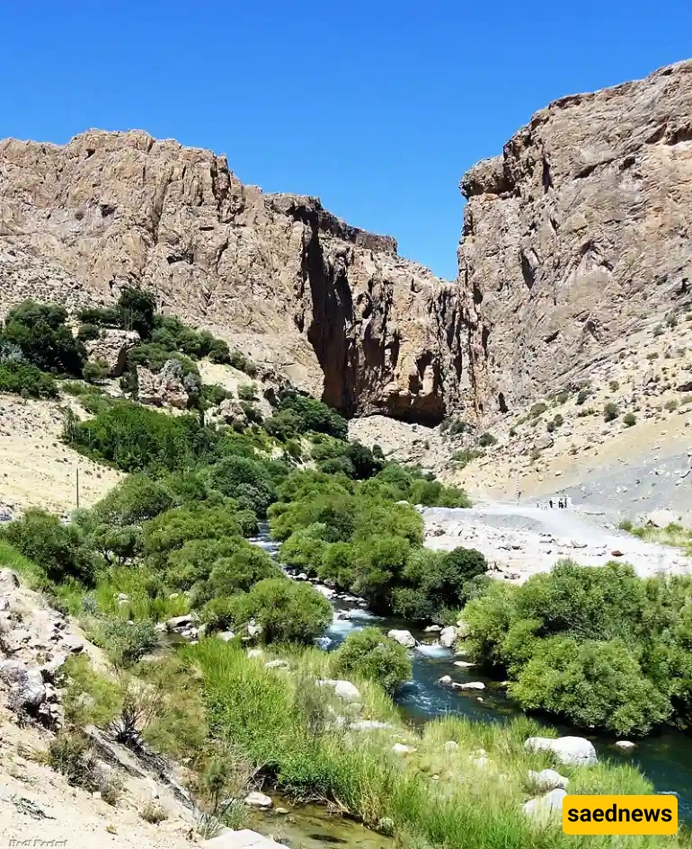 Shiraz Nature