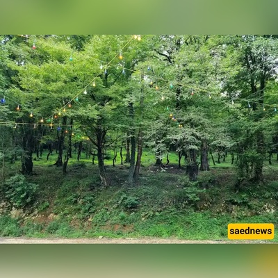 The Ultimate One-Day Loop from Tehran: Forest Drives, Hidden Waterfalls and a Cloud-Village Near Abbasabad.