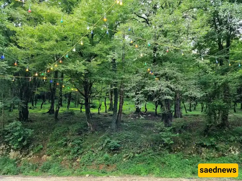 The Ultimate One-Day Loop from Tehran: Forest Drives, Hidden Waterfalls and a Cloud-Village Near Abbasabad.