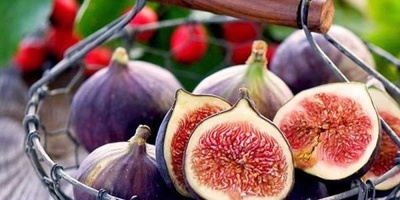 Fig Calories, Nutritional Value, and Health Benefits: What You Need to Know