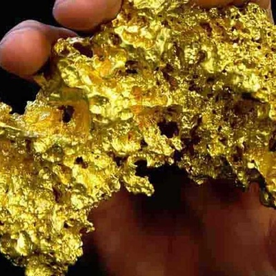 Harvesting Gold from Farmland: Incredible Discovery of Pure Gold in Eucalyptus Leaves + Photos