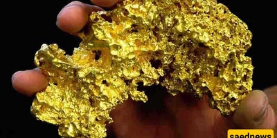 Harvesting Gold from Farmland: Incredible Discovery of Pure Gold in Eucalyptus Leaves + Photos