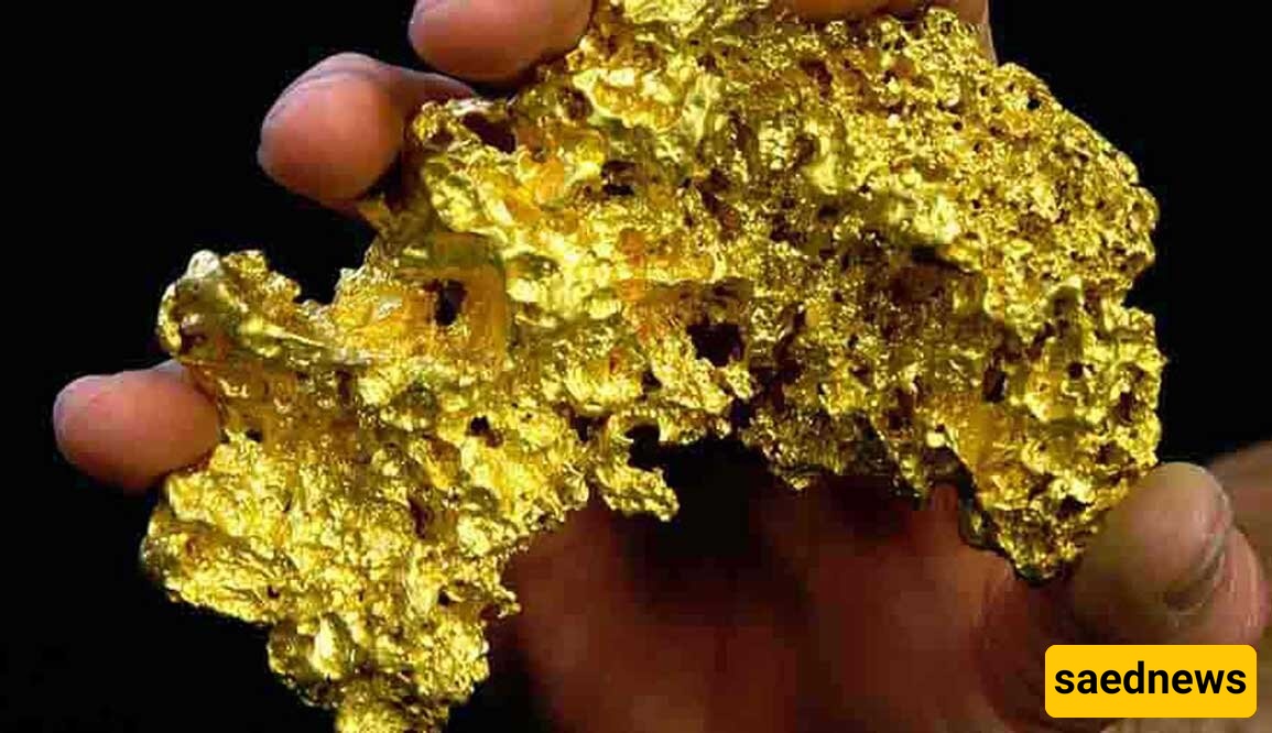 Harvesting Gold from Farmland: Incredible Discovery of Pure Gold in Eucalyptus Leaves + Photos