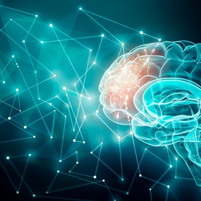 Why Does the Human Brain Delay Difficult Tasks? The Science Behind Procrastination