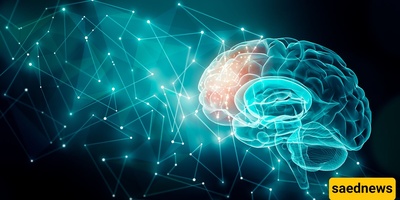 Why Does the Human Brain Delay Difficult Tasks? The Science Behind Procrastination