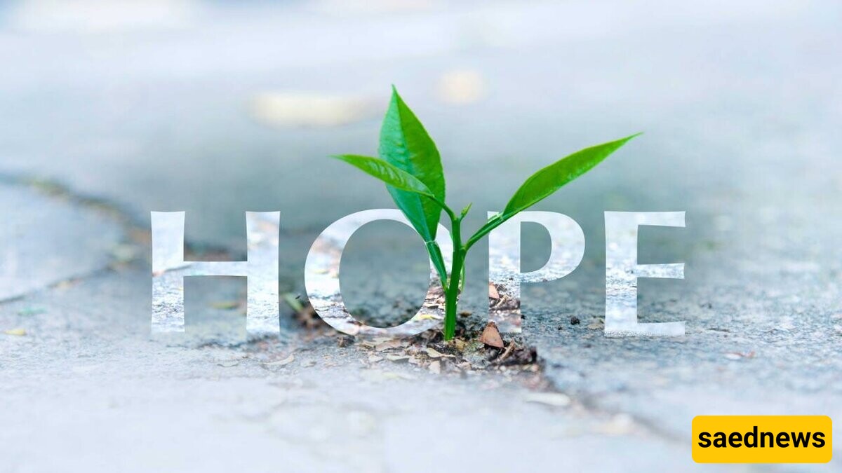 Why Should We Have Hope in Our Lives?