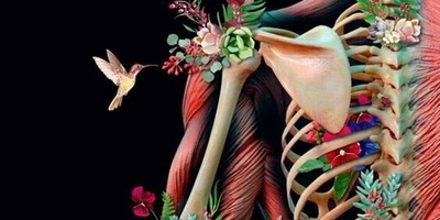 The Sound of Cracking Joints: Pleasurable Music or a Health Warning? Stop Before It’s Too Late!