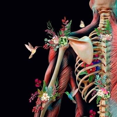 The Sound of Cracking Joints: Pleasurable Music or a Health Warning? Stop Before It’s Too Late!