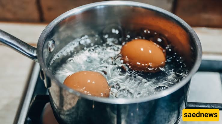 eggs