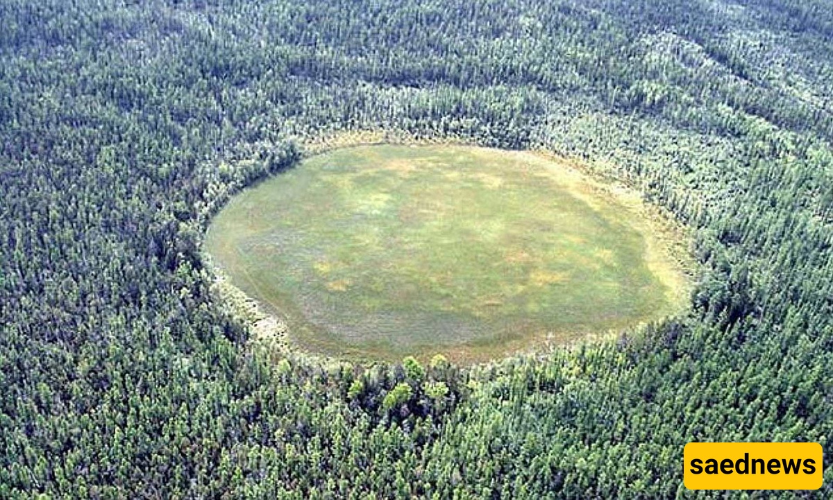 The Tunguska Event