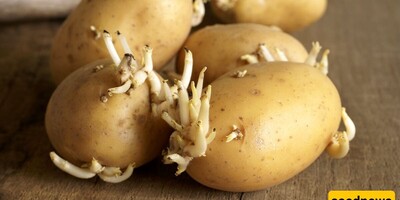 Can You Eat Sprouted Potatoes? Find Out the Truth