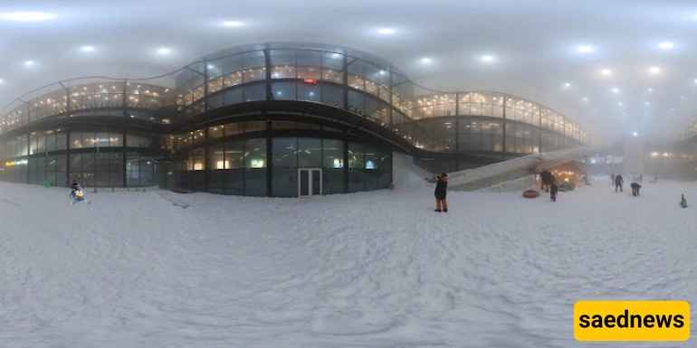 Penguin Snow Park, kish