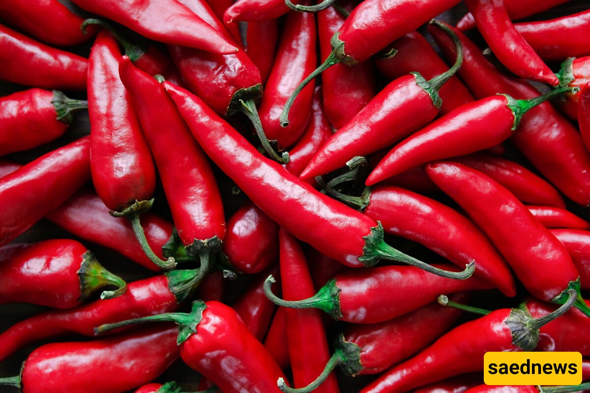 Red Pepper