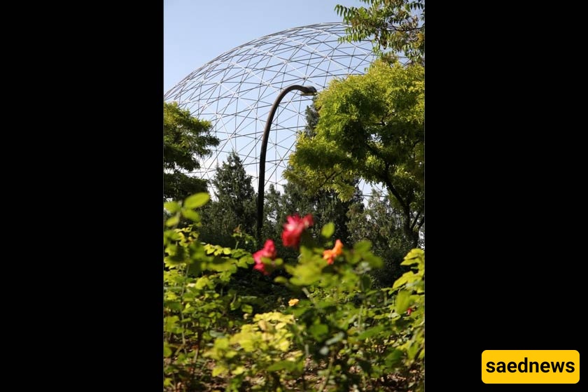 Mashhadd Garden