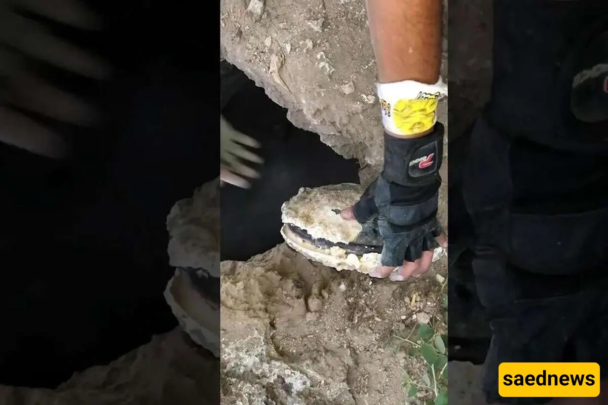 (Video) Moment an Ancient Gold Necklace Is Discovered by a Treasure Hunter