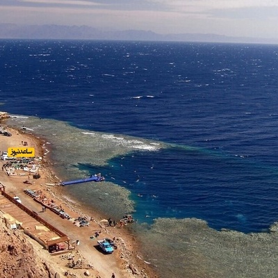 Strange, Mysterious Snake-Like Creature Found on Egyptian Beach