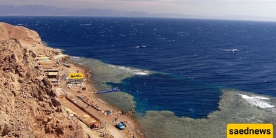 Strange, Mysterious Snake-Like Creature Found on Egyptian Beach