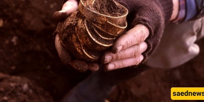 Retired Farmer Strikes Gold: Largest Treasure Trove Ever Discovered 🙄 + Photos