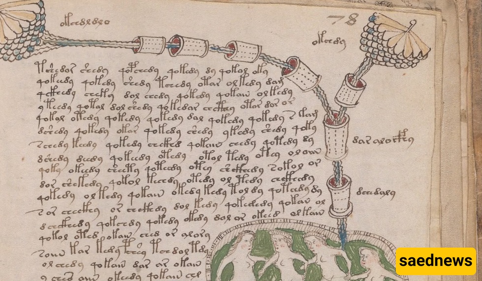 The Voynich Manuscript