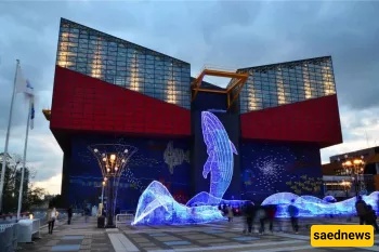 Kaiyukan Osaka Aquarium | A Fascinating Underwater World in Japan