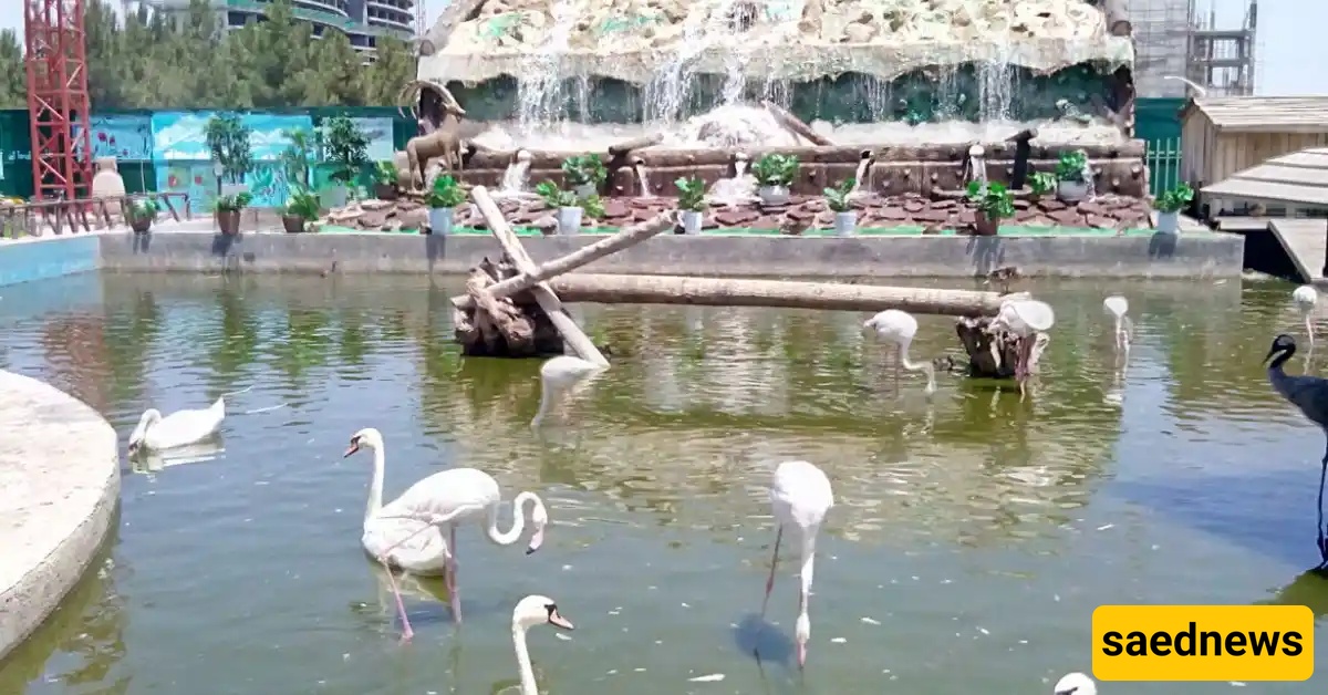 Planning a Trip to Mashhad? Don’t Miss This Hidden Paradise for Bird Lovers