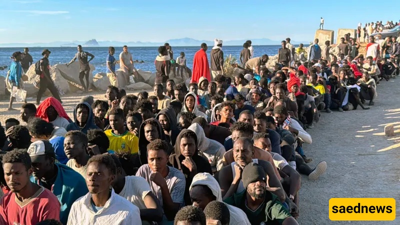 migration