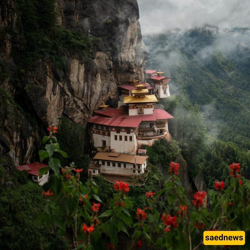 A Pillar of Happiness