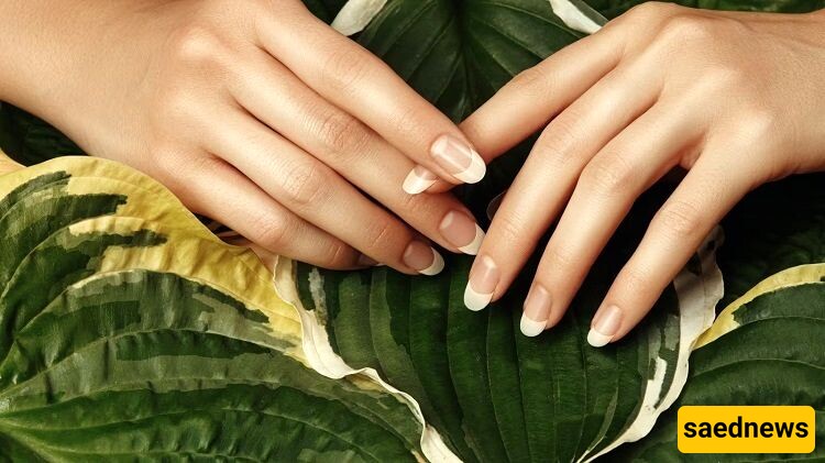 7 Essential Nail Care Tips for Fall and Winter