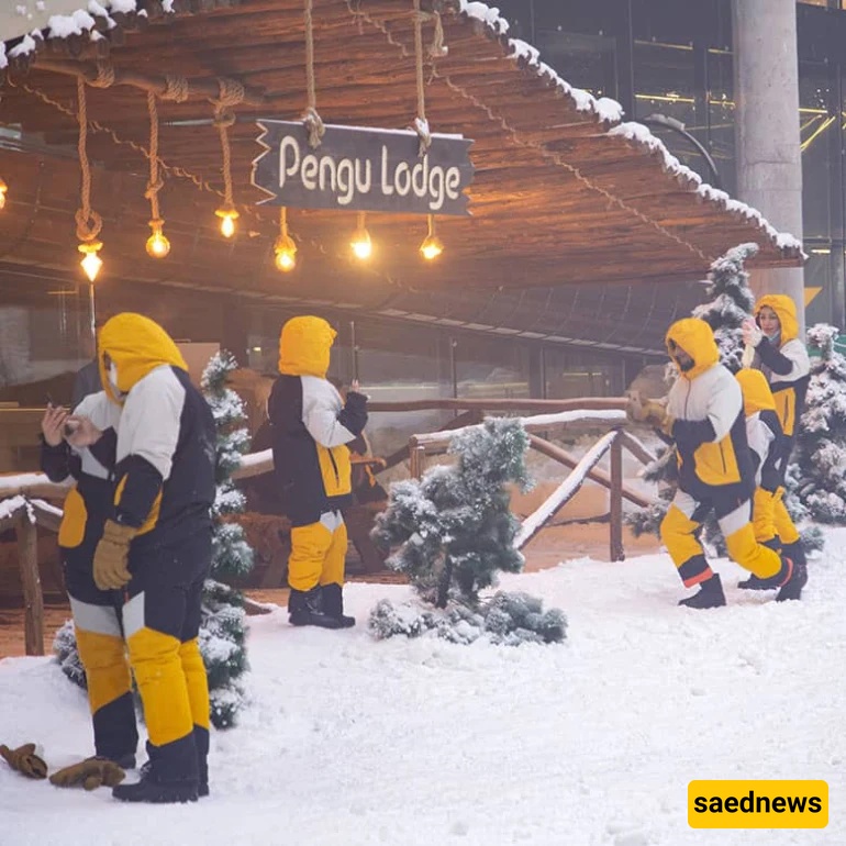 Penguin Snow Park, kish