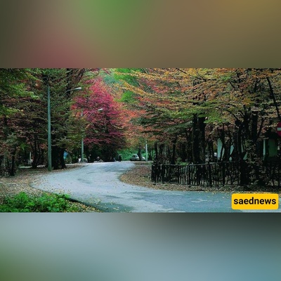 Walk the 1.7 km Wooden Trail: Alangdareh’s Forest Path That Feels Like a Fairytale