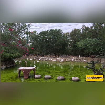 7 Reasons Nature Lovers Fall in Love with Kish Bird Park (It’s Not Just About the Birds)