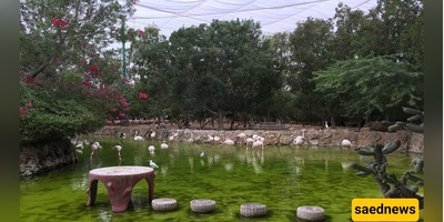 7 Reasons Nature Lovers Fall in Love with Kish Bird Park (It’s Not Just About the Birds)