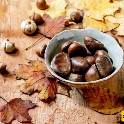 Chestnuts: The Powerful Nut with Amazing Health Benefits You Shouldn't Miss