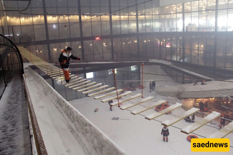 Penguin Snow Park, kish