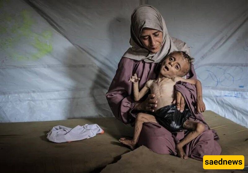 Female Iranian Professors Urge U.N. Chief to End ‘Passivity’ on Gaza Sufferings
