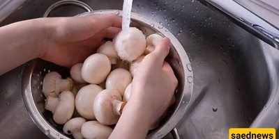 What Is the Right Way to Wash Mushrooms?