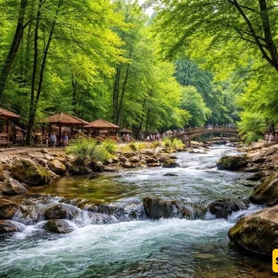 Fin Forest Park, Chalus: A Scenic Natural Attraction in Mazandaran Province