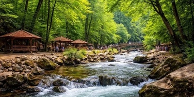Fin Forest Park, Chalus: A Scenic Natural Attraction in Mazandaran Province