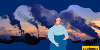 Infertility and Stillbirth in Megacities: The Hidden Consequence of Air Pollution