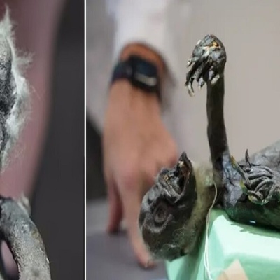 Unveiling the Secrets of the ‘Fiji Mermaid’: A Hybrid of Fish, Monkey, and Reptile