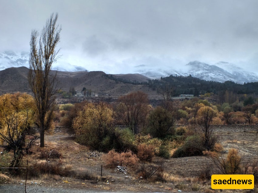 parks of tehran