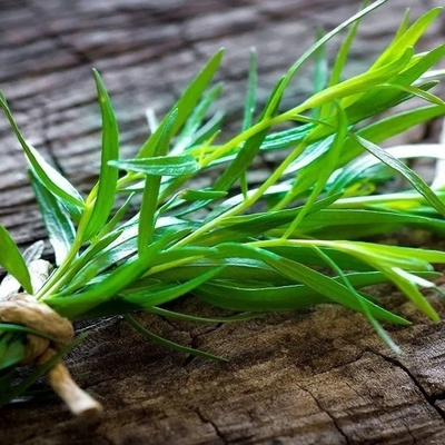 Fresh and Dried Tarragon: Benefits, Oil Properties, Herbal Tea Preparation, Nature, and Side Effects