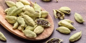 Proper Storage of Green Cardamom (Preventing Loss of Aroma and Flavor Over Time)